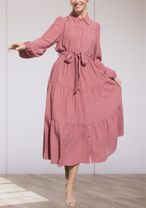 Sherine Button-Down Dress