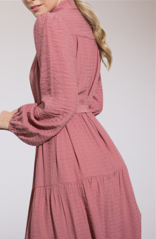 Sherine Button-Down Dress